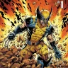 Wolverine89